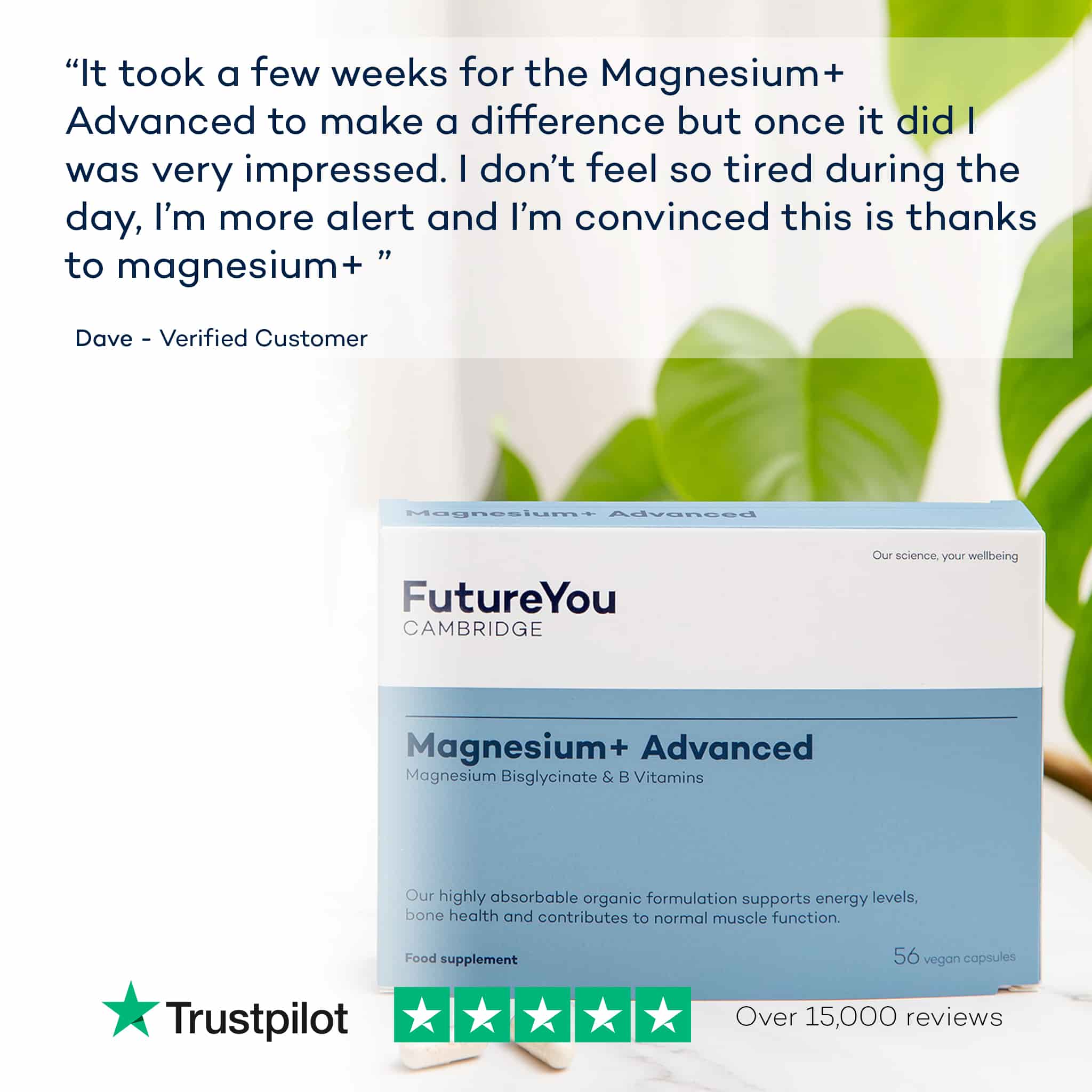 The Gift of Sleep 3-Month Magnesium+ Advanced Subscription - Image 5