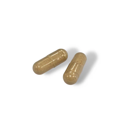 Liver Support - Image 5