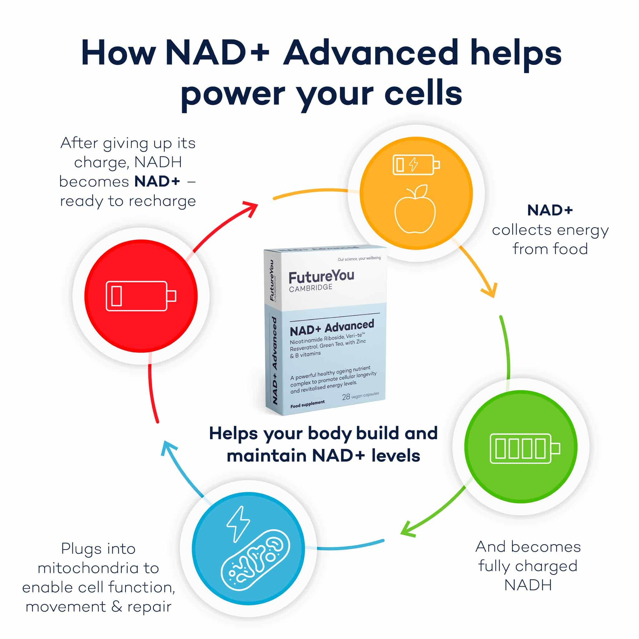 NAD+ Advanced - Image 3