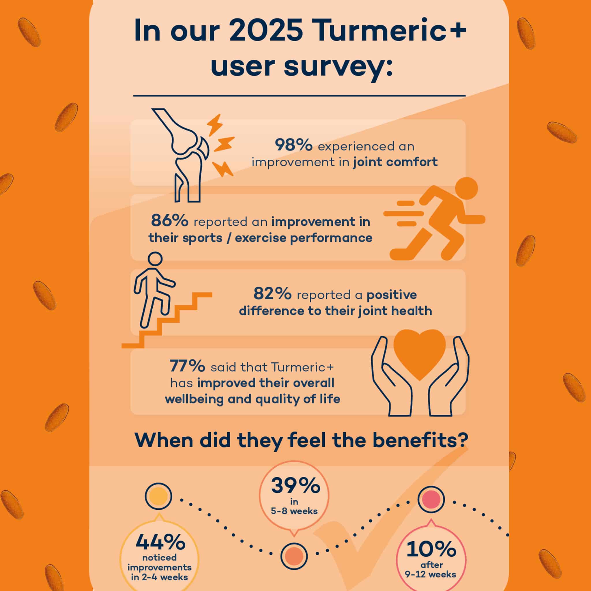 Turmeric+ - Image 4