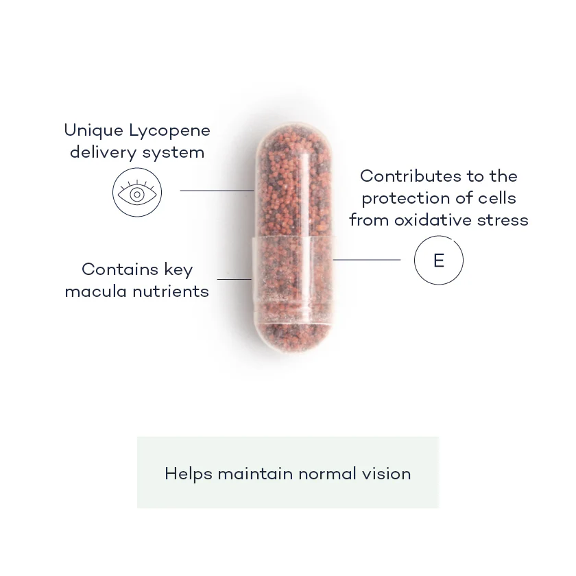 Vision+ - Image 2